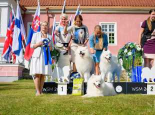 2019 Euroshow Progeny